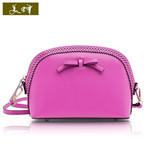 2014 NEW STYLE BLANK LADY BAG 013