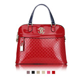 2014 NEW STYLE BLANK LADY BAG 015