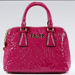 2014 NEW STYLE BLANK LADY BAG 016